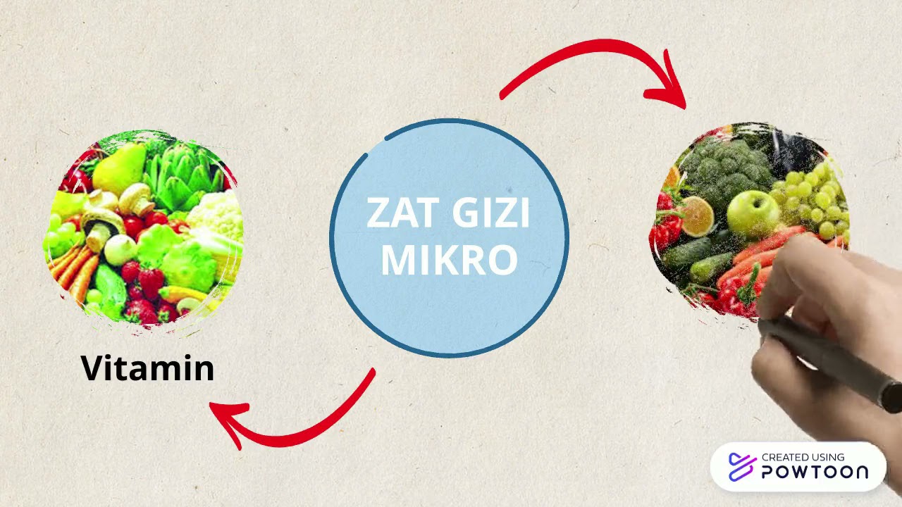 Metabolisme Energi dan Zat Gizi Mikro