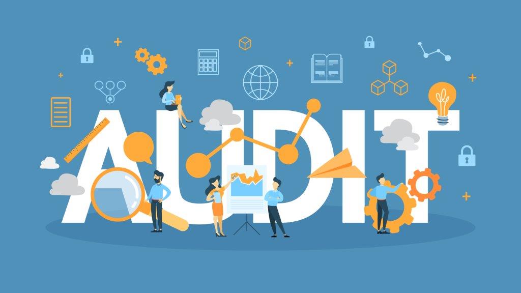 AUDIT SUMBER DAYA MANUSIA
