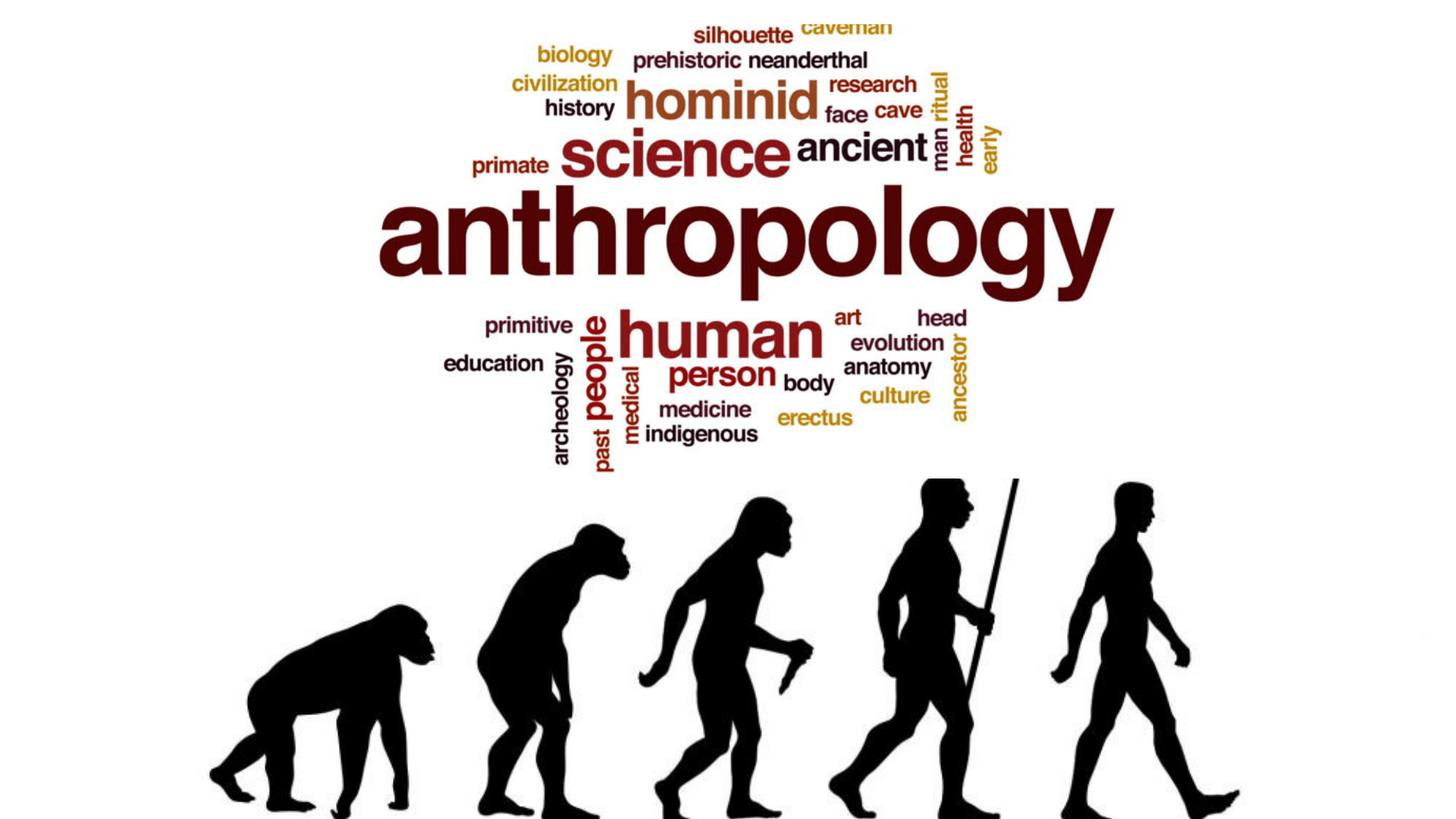 PENGANTAR ANTROPOLOGI